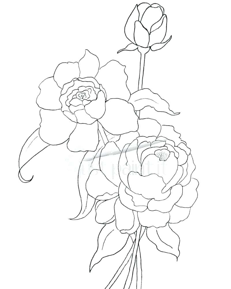 801x1001 Coloring Awesome Free Printable Flowers. Free Printable Flowers