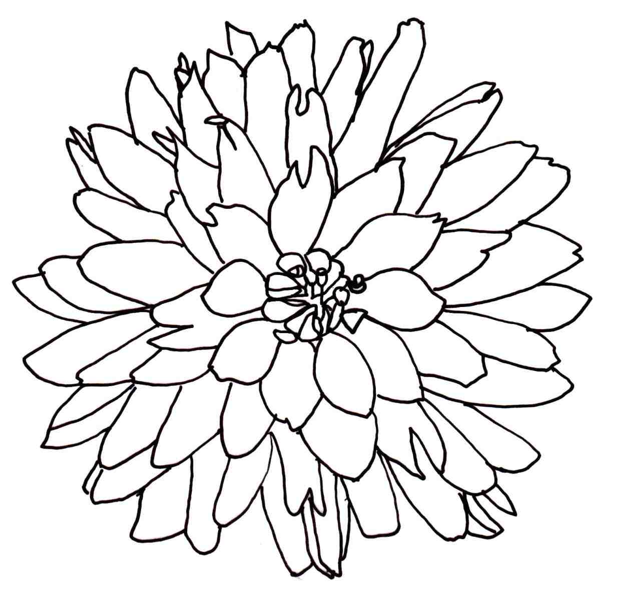 1243x1226 Flower Bouquet Drawing Easy