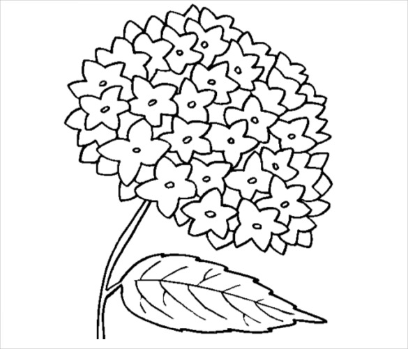 585x501 Flower Coloring Pages Free Psd, Ai, Vector Eps Format