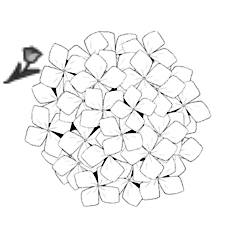 240x240 Hydrangea Stamp Clip Studio Paint Clip