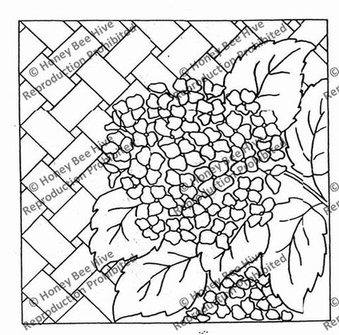 480x474 Pt660 Hydrangea