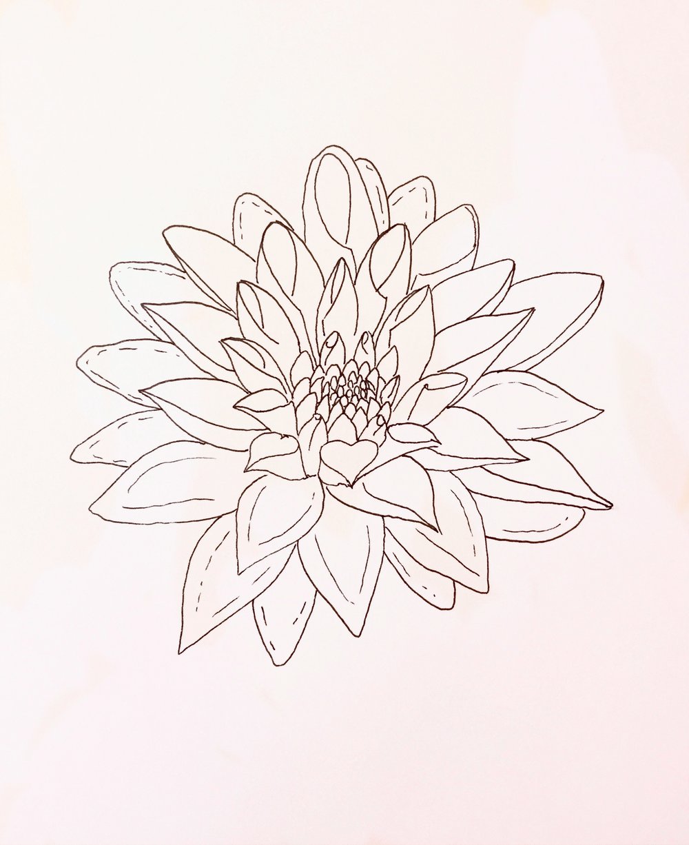 1000x1226 Drawing Abby Lessick