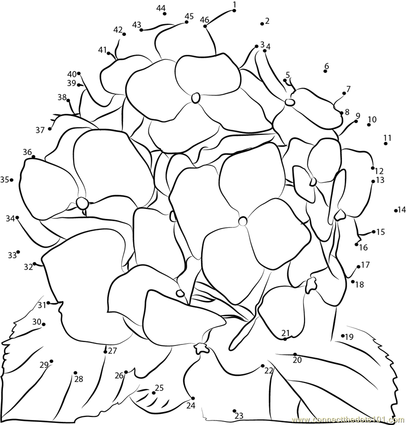 800x839 Flower Dot To Dot