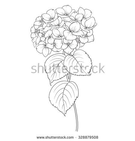 450x470 6245 Best Painting Practice Drawings Amp Sketches Images