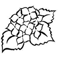 200x200 Shop Denami Online