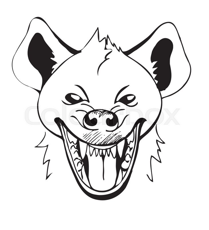 730x800 Laughing Hyena's Head With Open Mouth, Sketch Stock Vector