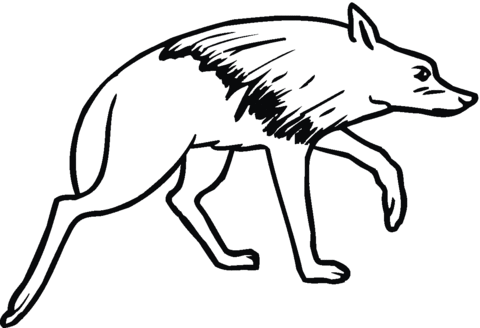 480x328 Brown Hyena Coloring Page Free Printable Coloring Pages