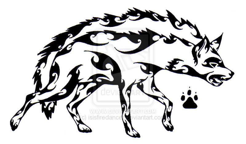 800x470 Tribal Hyena Tattoos Hyena, Tribal Drawings And Tattoo