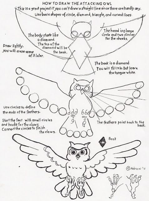 477x640 5317 Best Learn To Draw Images On Drawing Ideas