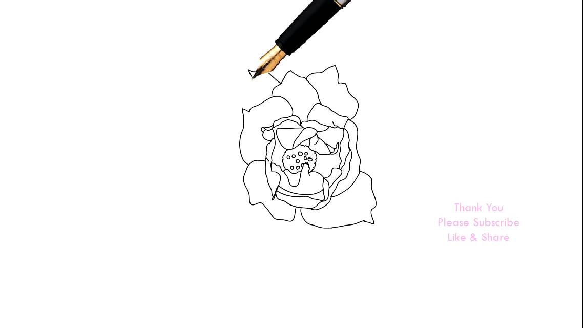 1138x640 How To Draw A Rose Flower Easy Line Drawing Sketch