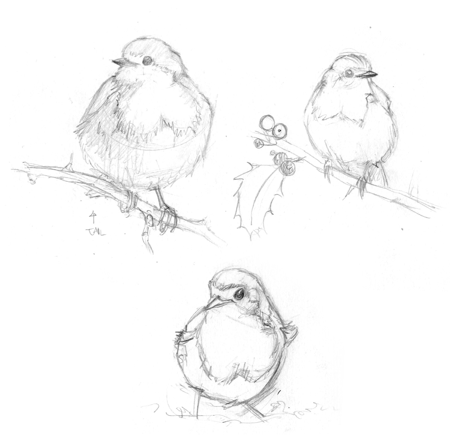 1500x1477 Sketches Archives