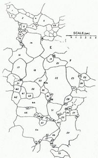 200x323 Inland Ice Crystal Measurements