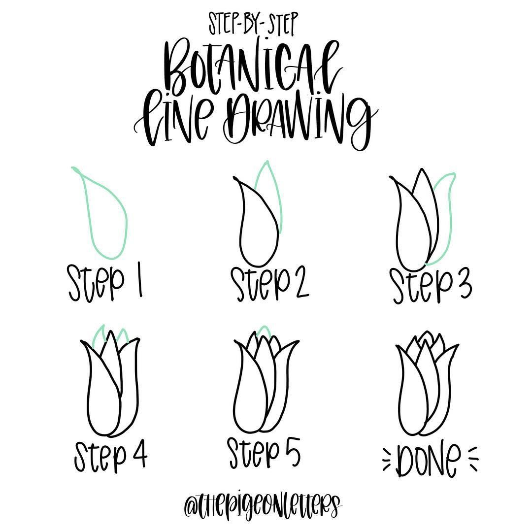 1080x1080 Botanical Line Drawing 6 By (Thepigeonletters) On Instagram