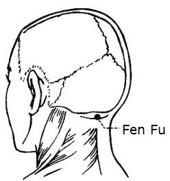 248x264 What Happens When You Put An Ice Cube On This Point