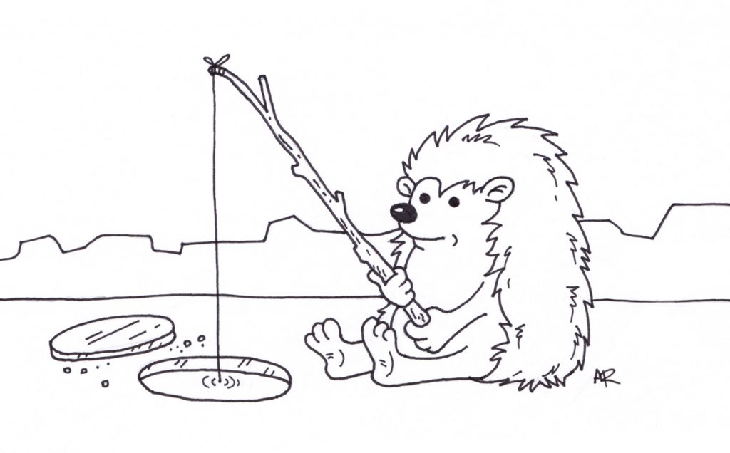 1024x636 Hedgehog Ice Fishing