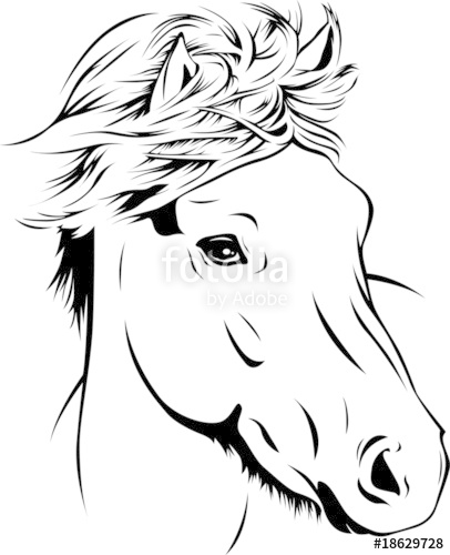 406x500 Icelandic Horse