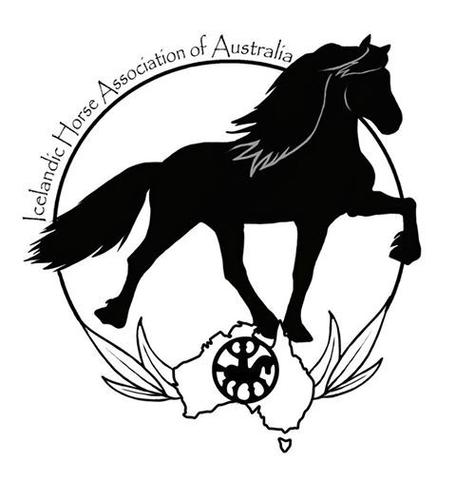 456x480 Icelandic Horses Megalong Icelandic Horses