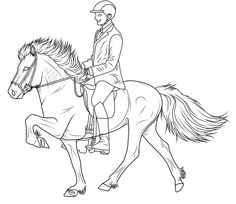 236x204 Icelandic Horse Pen And Ink