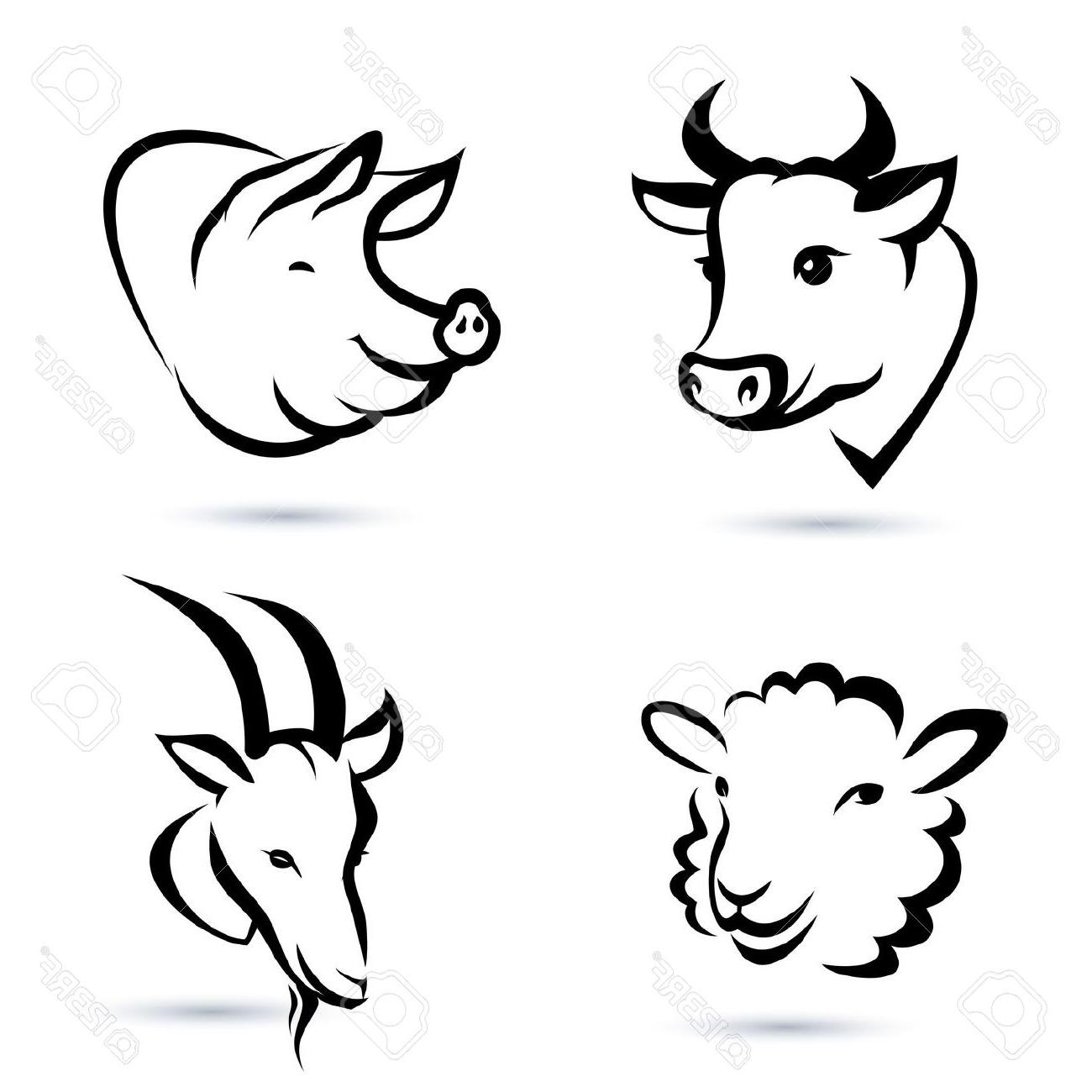 1300x1300 Best Free Farm Animals Icons Set Stock Vector Pig Head Sheep Drawing