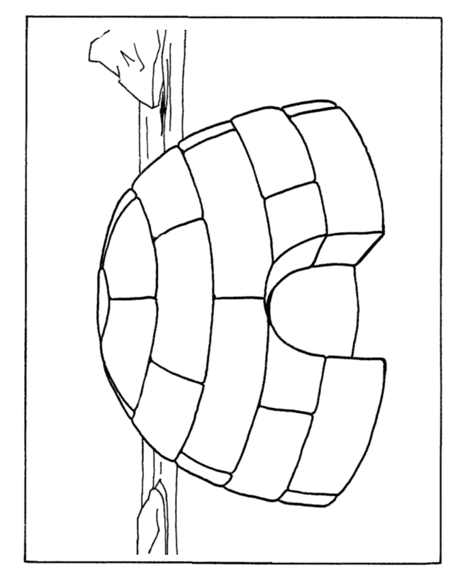 670x820 Winter Coloring Pages