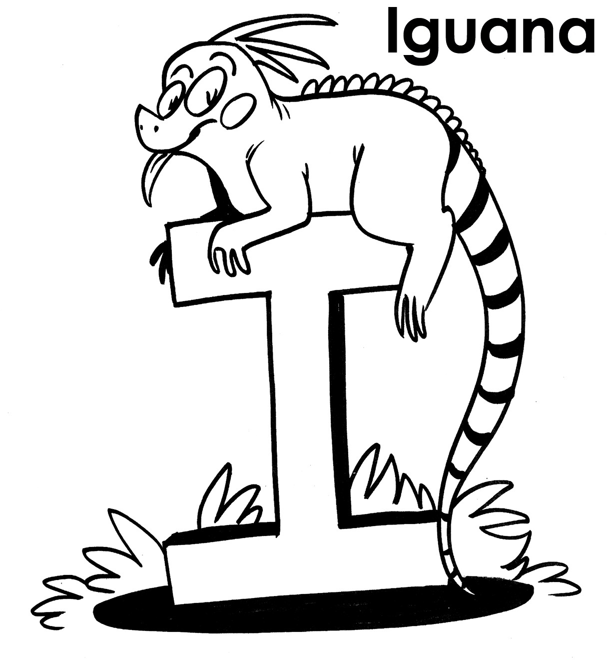 1217x1330 Iguana Coloring Pages