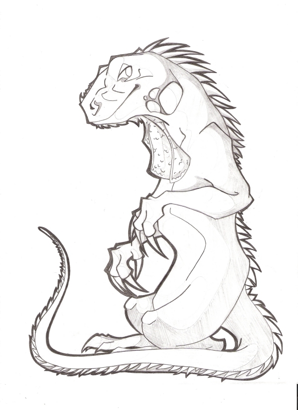600x825 Iguana Sketch By Km Cowgirl