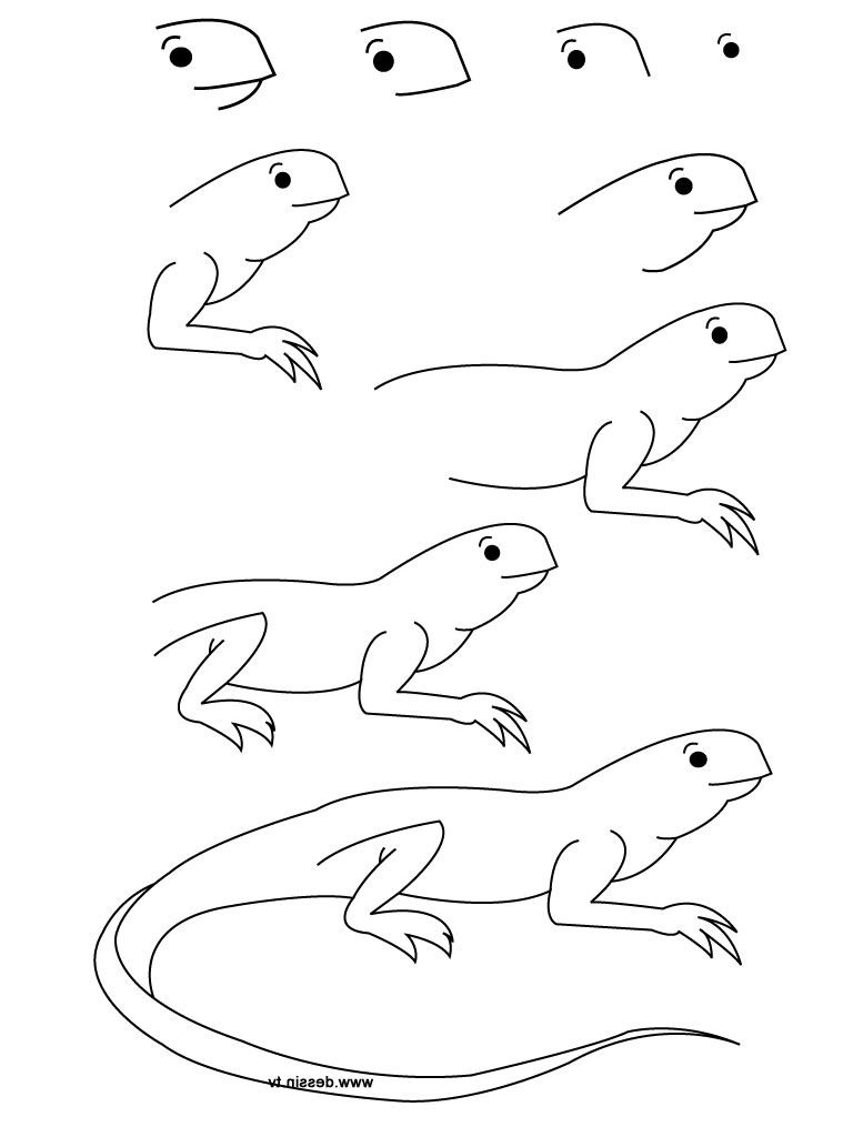 Iguana Drawing at GetDrawings | Free download