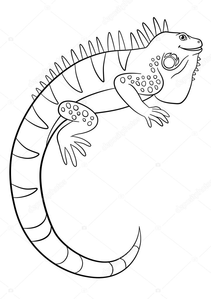 723x1023 Coloring Pages. Cute Iguana Smiles. Stock Vector Ya Mayka