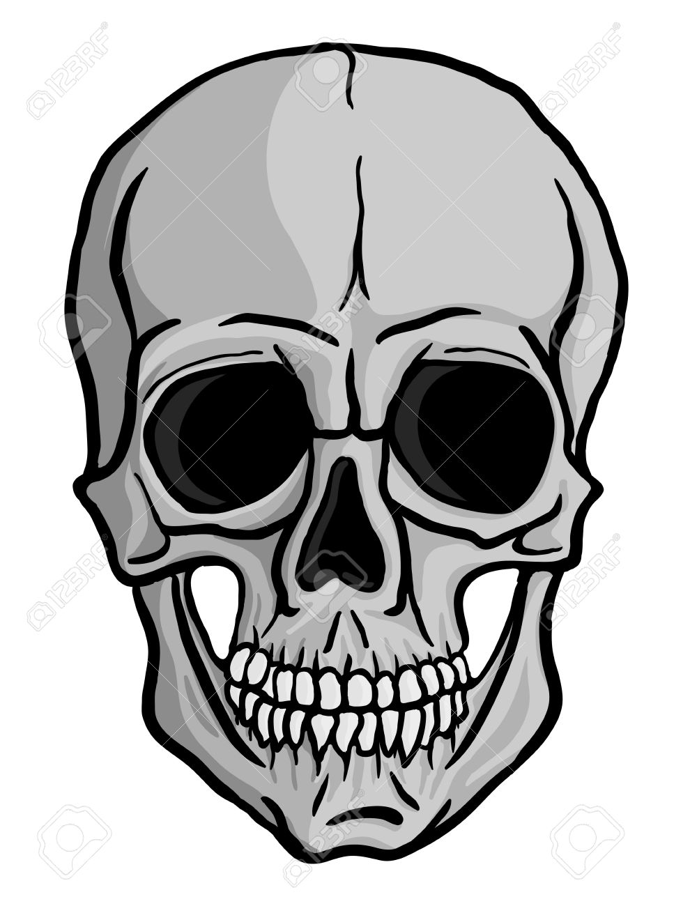 990x1300 Human Skull Isolated On White Freehand Drawing Royalty Free