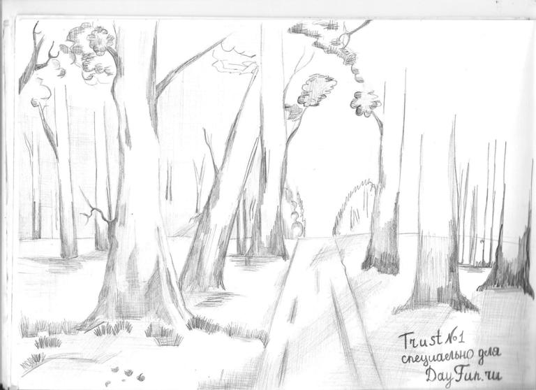 768x558 How To Draw Forest Step By Step