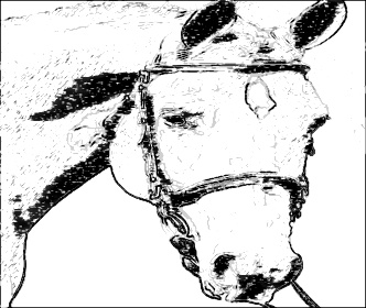 332x280 Online Sketch Photo Effect