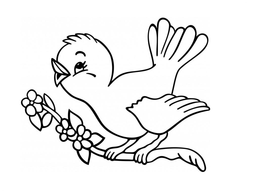 1024x759 Pictures Bird Drawing For Kids,
