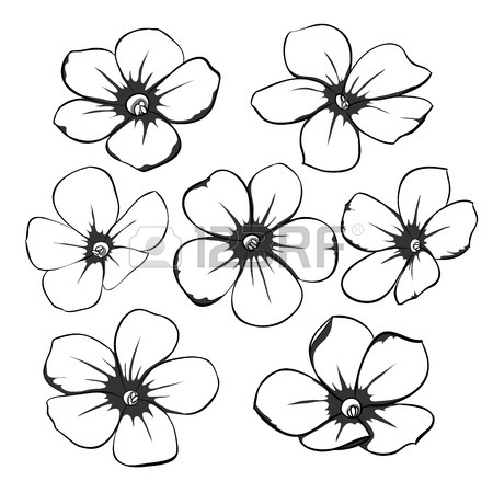 450x450 Flower Sketch Stock Photos. Royalty Free Business Images