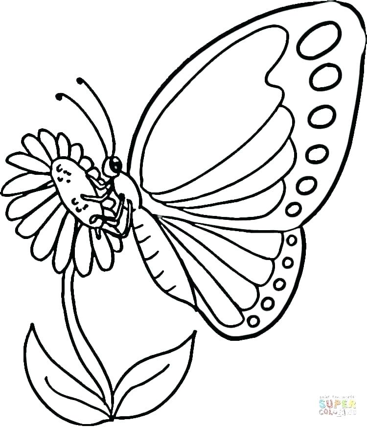 750x872 Detailed Butterfly Coloring Pages Detailed Butterfly Drawing