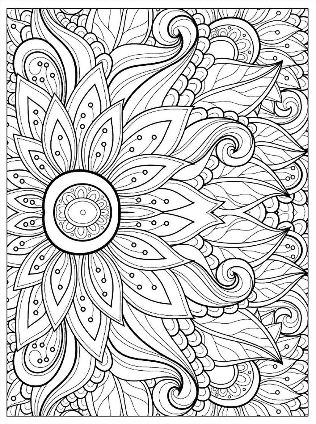 1023x1374 Top Adult Flower Coloring Pages Imagine Unknown Resolutions High