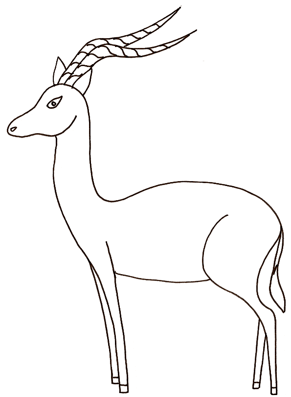 595x811 Impala Coloring Page