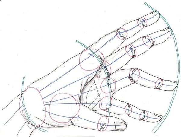 600x454 How To Draw Hands