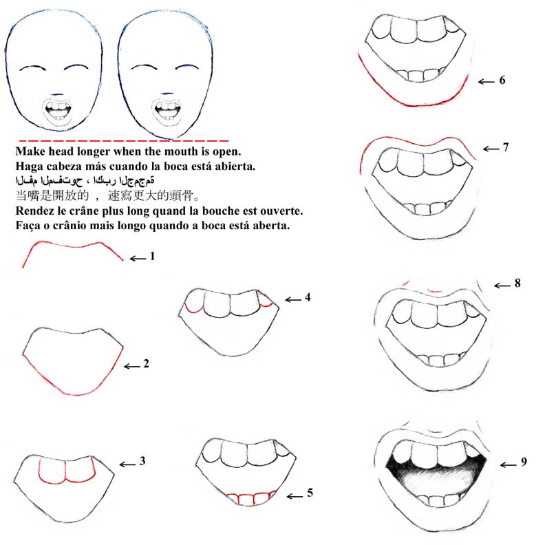 792x792 Index Of Cartoon Steps Jepgportraitslessons For Drawing