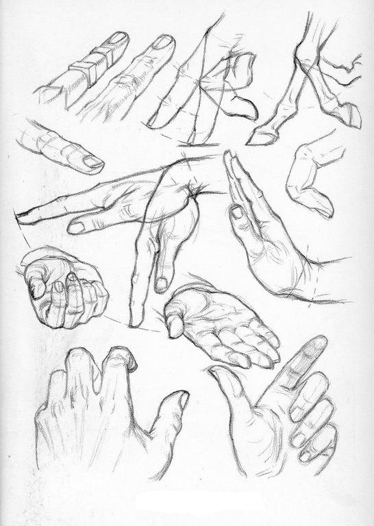 546x768 Drawings Body Parts