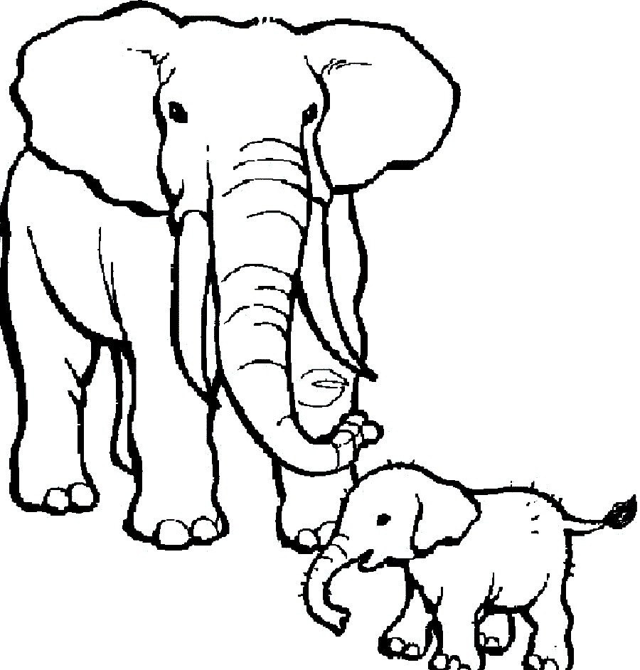 900x942 India Coloring Pages Printables Copy Great Mlgv For Elephant