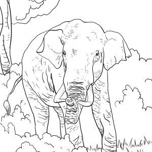 300x300 Coloring Pages Ofdia Gate Newdia Gate Coloring Pages