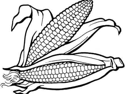 440x330 Ideas Indian Corn Coloring Page For 38 Thanksgiving Indian Corn