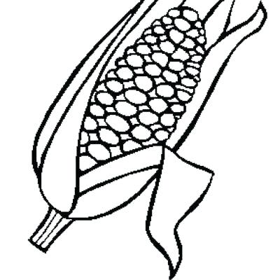 400x400 Indian Corn Coloring Page Thanksgiving Corn Coloring Pages