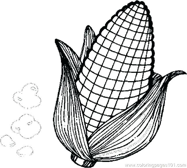 650x586 Indian Corn Coloring Page