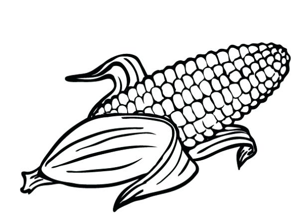600x427 Indian Corn Coloring Page Synthesis.site