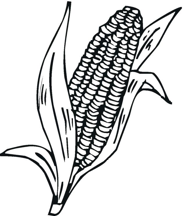 630x742 Coloring Page Of Corn Corn Stalks Coloring Pages Coloring Pages