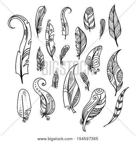 450x470 Bird Feathers. Hand Drawing Indian Vector Amp Photo Bigstock