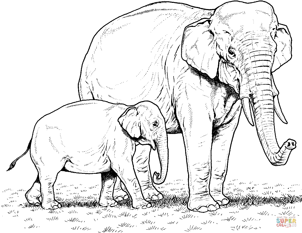 1164x901 Indian Elephant Baby And Mother Coloring Page Free Printable