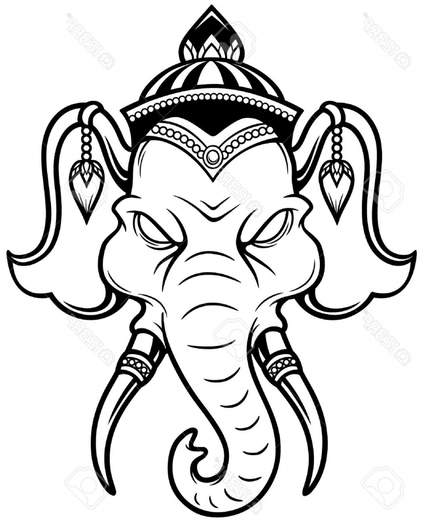 831x1024 Indian Elephant Face Drawing