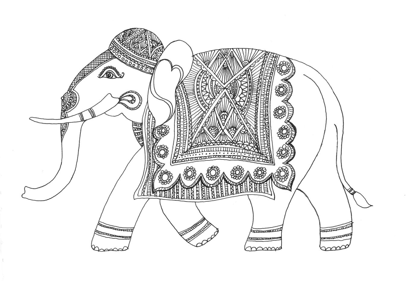1347x932 Sketch Of An Elephant Drawing Pics Drawing